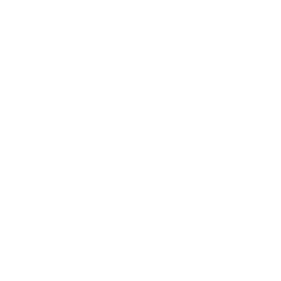 Icon Ladungssicherung